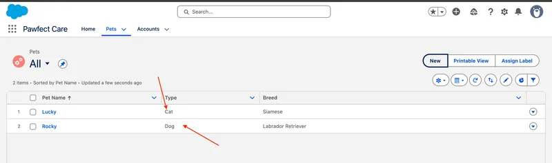 List view of Records