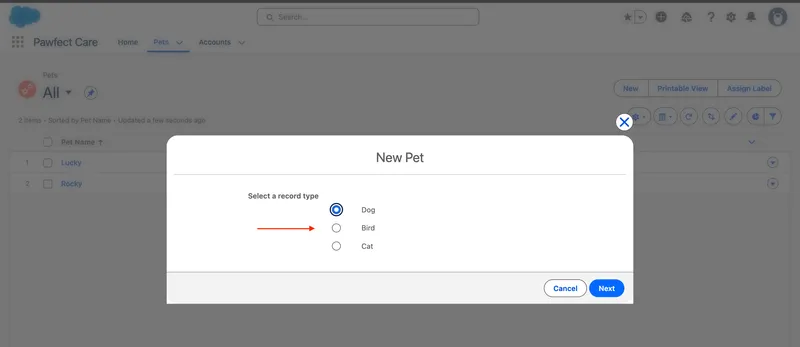 List view of Records