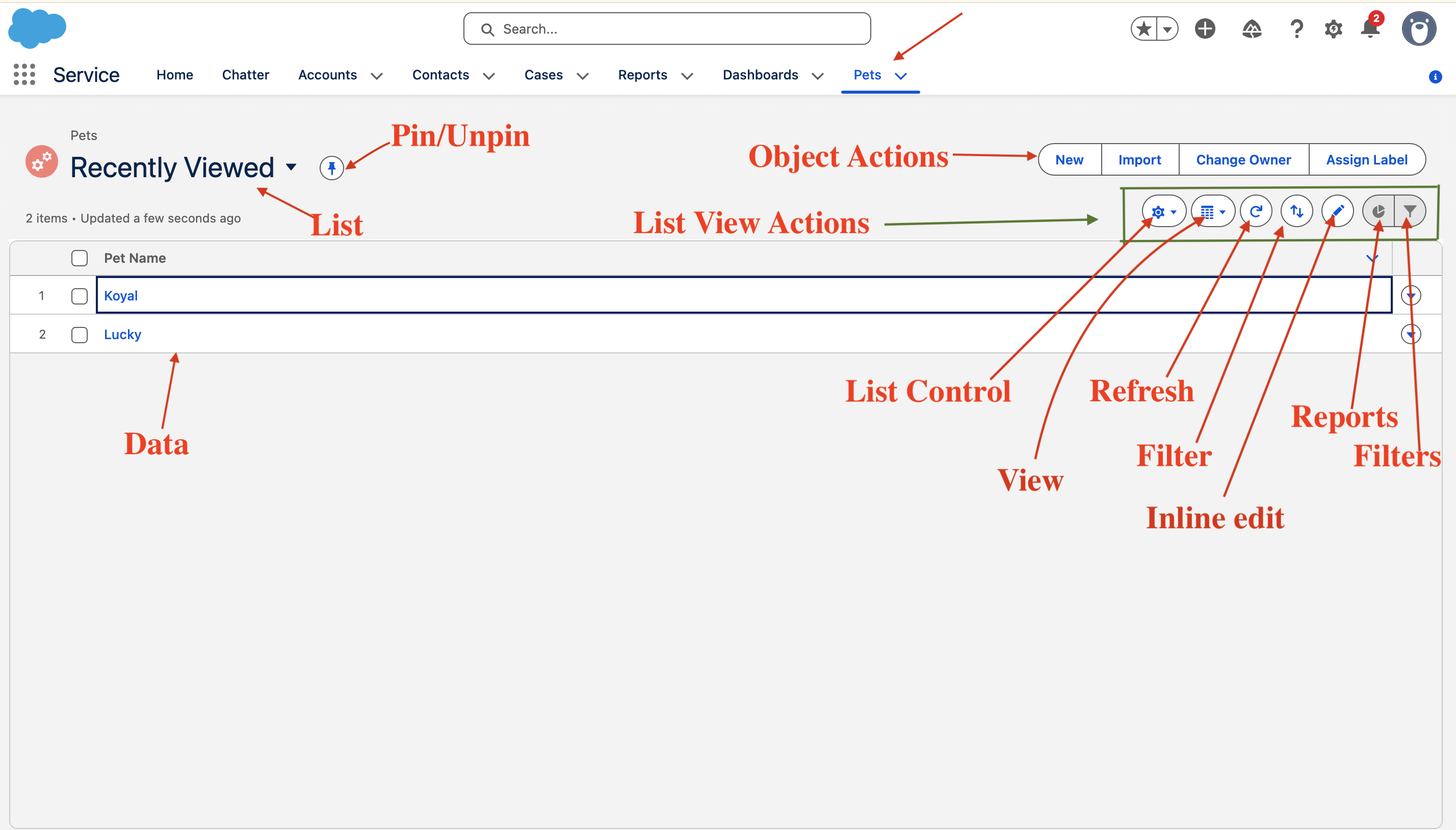 List View