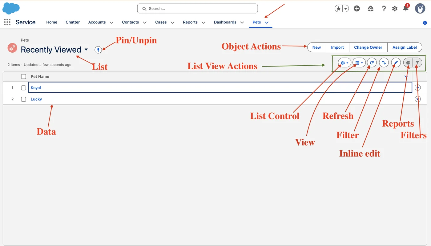 List View