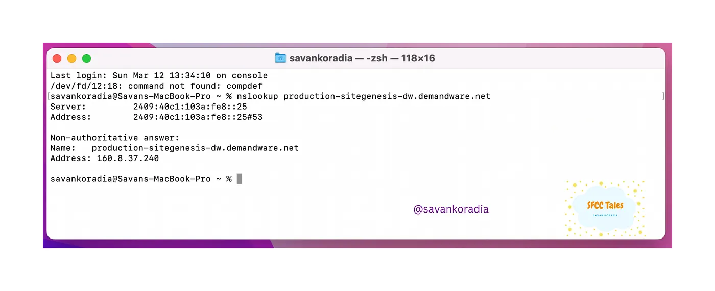 Find the IP address of the server